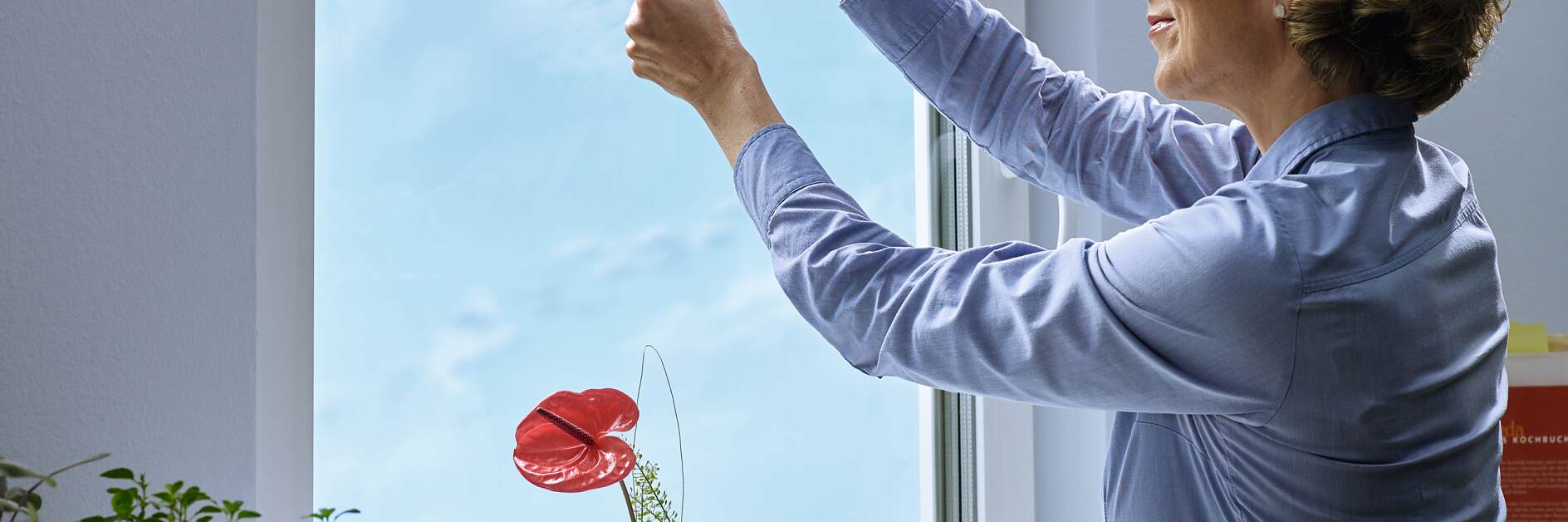 無痕掛鉤———無需鉆孔即可強力吸附